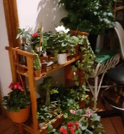 Maison d'hôtes Miami Vip Rome